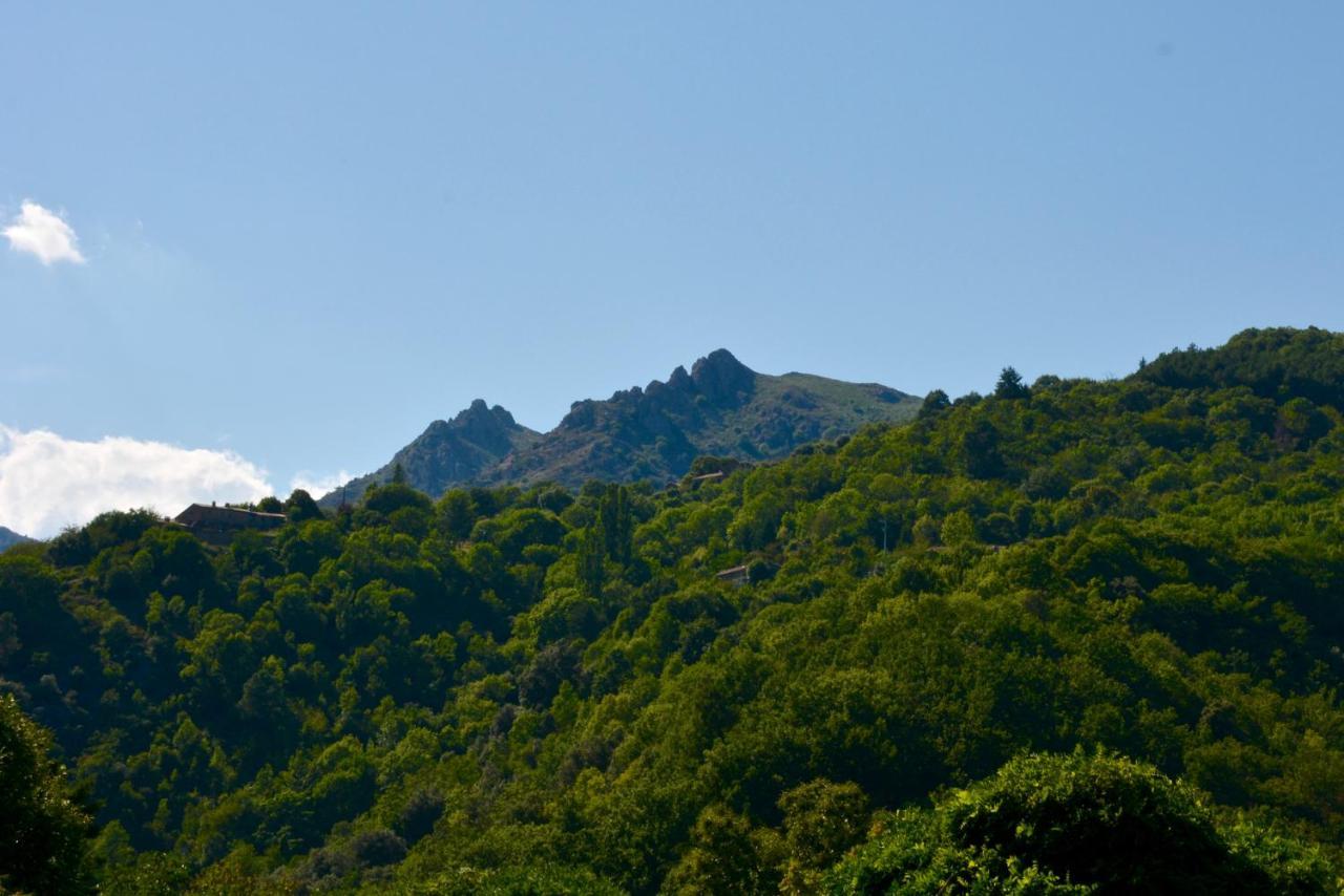 La Maison De Laligier Jaujac Esterno foto